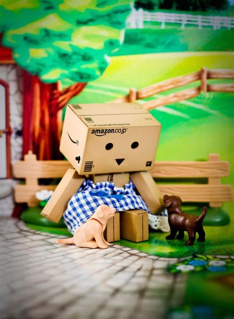 Pin By Char Lund On Danbo Box Life Danbo Amazon Box Cute Wallpapers