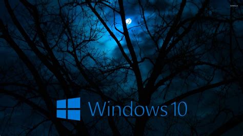 Избранные Фото Windows 10 Telegraph