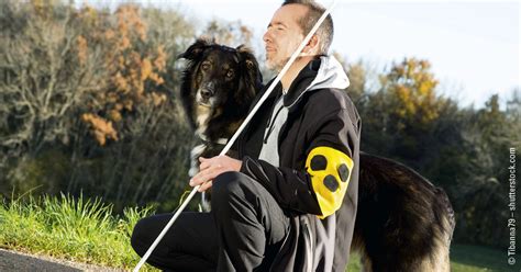 Einem blinden den #hund stehlen bzw. Der Blindenhund - treuer Begleiter und Helfer | THE GOODSTUFF