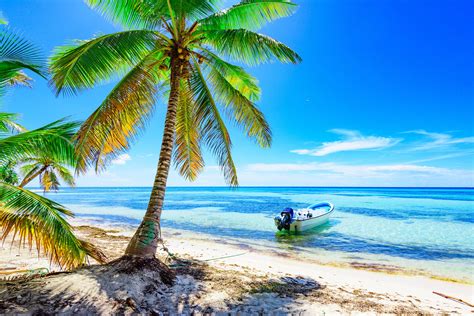 Palm Tree Wallpaper Sand Sea Beach The Sun Palm Trees Shore Boat
