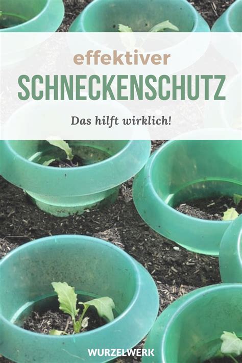 Dennoch ist schon so mancher gärtner an ihnen verzweifelt. Was Hilft Gegen Schnecken Im Garten / Haus Und Garten Was ...