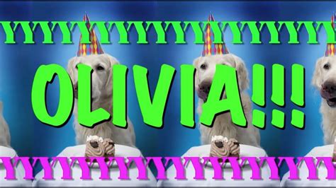 Happy Birthday Olivia Epic Happy Birthday Song Youtube