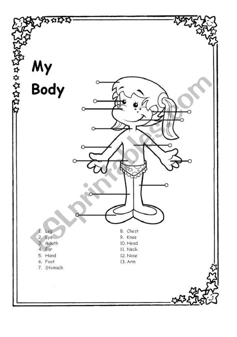 My Body Esl Worksheet By Lastter1