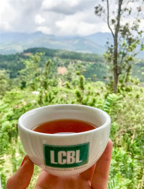 Herbal Tea Sri Lanka Sri Lankan Tea Tea Heritage Tourism Of Island