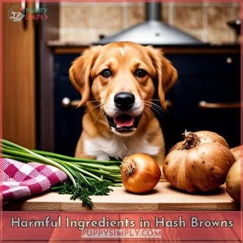 Can Dogs Eat Hash Browns All Pet Owners Should Know