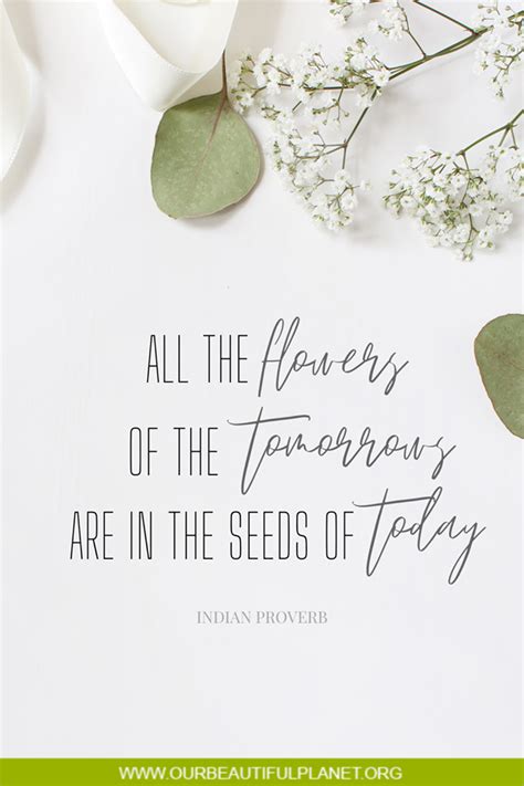 “all The Flowers Of The Tomorrows Are In The Seeds Of Today” Indian
