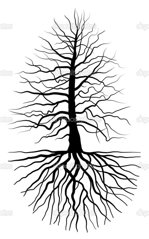 Tree Roots Silhouette Png