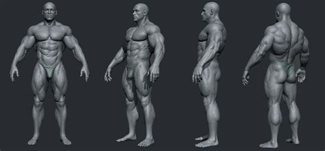 Male Body Builder Body Builder T Pose Man Anatomy