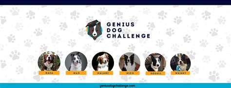 Genius Dog Challenge Home