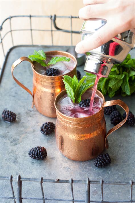 Blackberry Bourbon Lemonade — The Sunny Palate