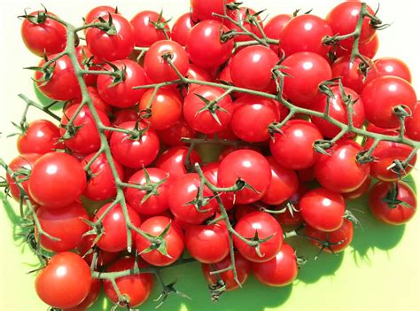 Juanita Tomaten Samen Bestellen Chili Shop24de