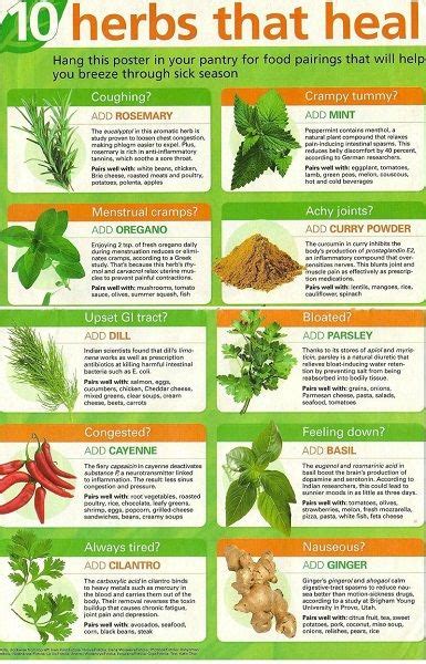 herbs and uses guide