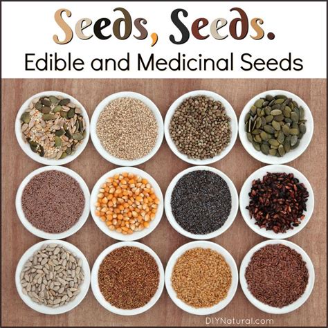 Don't ever underestimate the culinary delights of flowers! Seeds. Edible Seeds. Medicinal Seeds. 10 Seeds You Can and ...