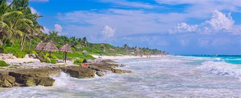 Tropical Sandy Beach On Caribbean Sea Mexico Stock Photo Image Of