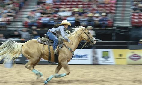 Camels are slightly slower than horses because they can only reach speeds of around 20 to 25 miles per hour while horses have an average gallop speed around 25 to 30 miles per hour. Hailey Kinsel's Lightning Fast Horse Sister Is Named The ...