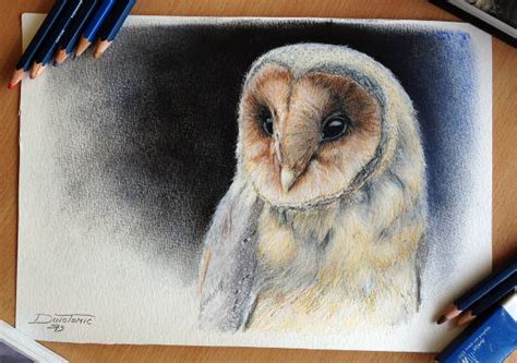 Collection by cainynmac • last updated 18 hours ago. FREE 8+ Owl Drawings in AI