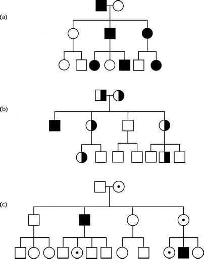 Inheritance Patterns Of Mendelian Disorders A Autosomal Recessive