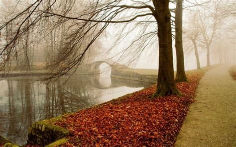Discover how to download and also install twice wallpapers hd on pc (windows) which is actually produced by undefined. Best Desktop HD Wallpaper - Autumn Wallpapers