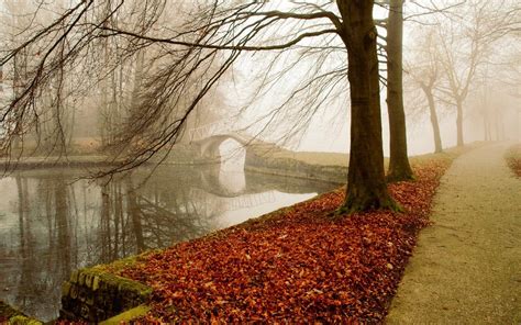 Maybe you would like to learn more about one of these? Best Desktop HD Wallpaper - Autumn Wallpapers