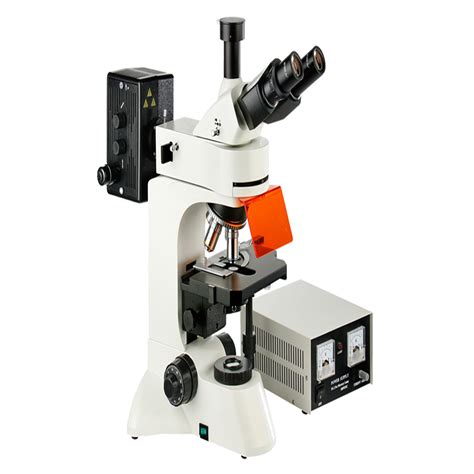 Fluorescence Microscope Teelen