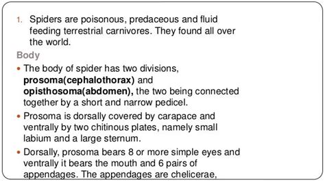 Spider Taxonomy