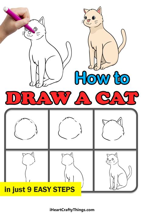 How To Draw A Cat Easy Steps