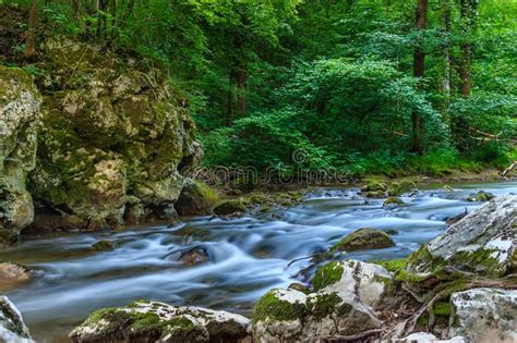 Beautiful Mountain River With Small Cascades Surrounded By Trees Stock