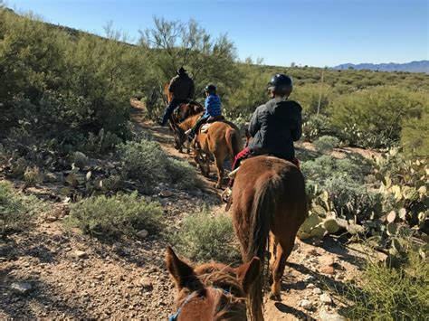 Horseback Riding In Tucson Desert Chica