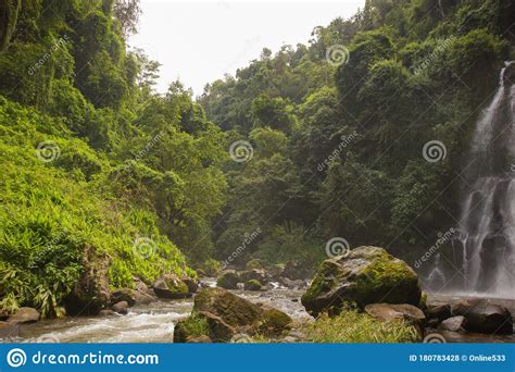 Waterfall In A Jungle In Tanzania Africa Stock Photo Image Of Target
