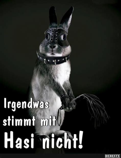Inhalt lustige sprüche und bilder über männer coole lustige sprichwörter und bilder Irgendwas stimmt mit Hasi nicht! | Lustige sprüche bilder ...