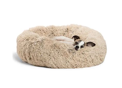 Best Dog Beds 2021 Top Rated And Reviews