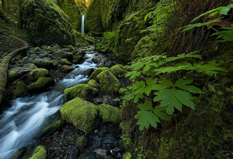 Foto Usa Mossy Grotto Falls Ruckel Creek Columbia River Gorge Oregon