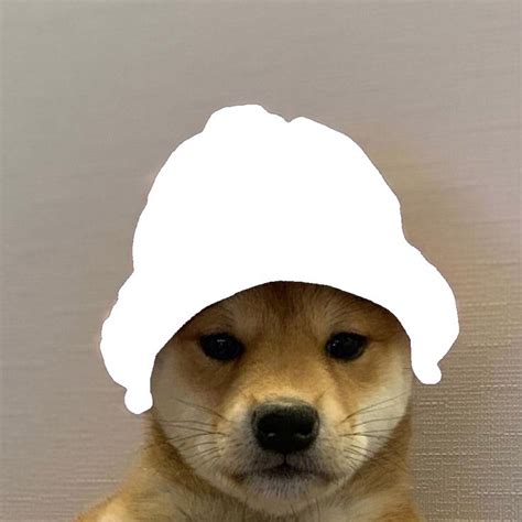 Dogwifhat Template Transparent Png Dogwifhat In 2020 Dog Icon Dog Images Animal Memes