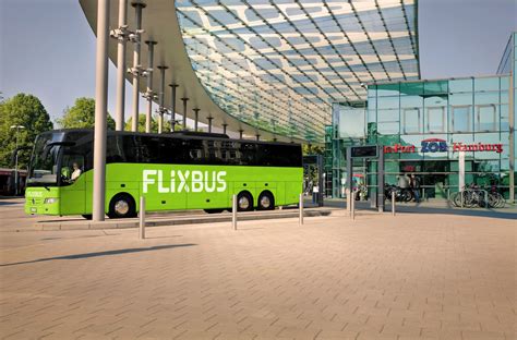 Diese lassen sich gut als köder verwenden, allerdings ist die beste zeit um den kleinen nager zu fangen schon vorbei, wenn die baumsamen reif werden. Flixbus: Wann sind die Tickets am günstigsten? - drivest.de