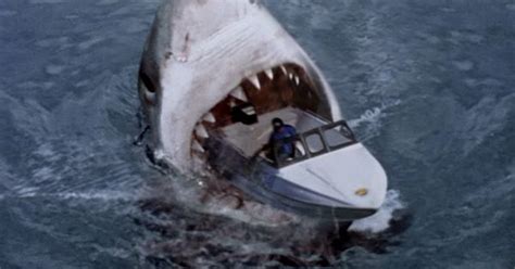 It is harmless and rarely encountered by humans. Megalodon Shark | The Food Chain | Pinterest | Megalodon ...