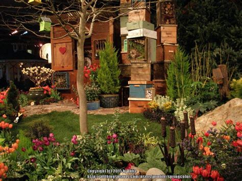 Maybe you would like to learn more about one of these? Pacific Northwest Gardening forum: NW Flower and Garden ...