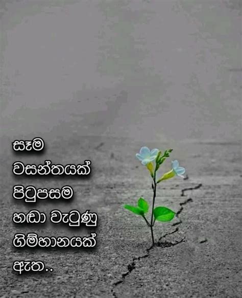Sinhala Viraha Wadan Adara Wadam