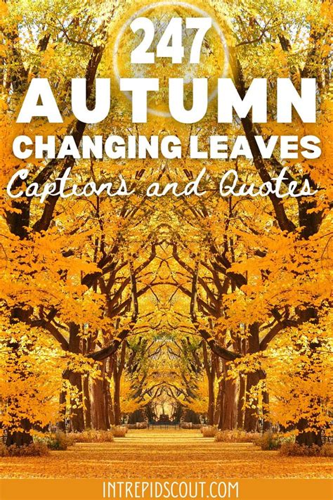 Pin On Autumn Changing Leaves Quotes