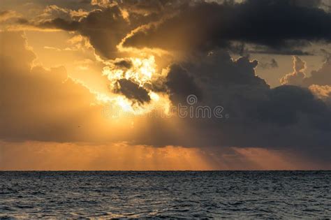 Early Morning Sunrise Over The Sea And A Birds Stock Image Image Of
