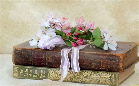 Still Life Book Flowers Bee Book Book Photography