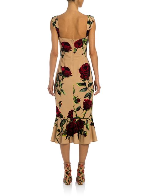 Dolce And Gabbana Rose Print Cady Midi Dress In Pink Lyst