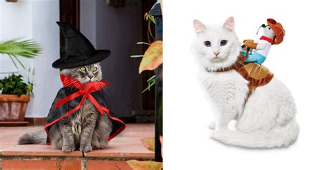 Best Cat Costumes For Halloween 2020 Popsugar Pets