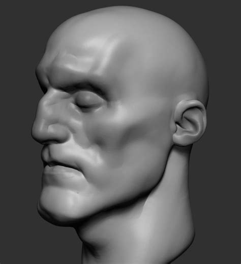 Stylized Head V2 3d Model Cgtrader