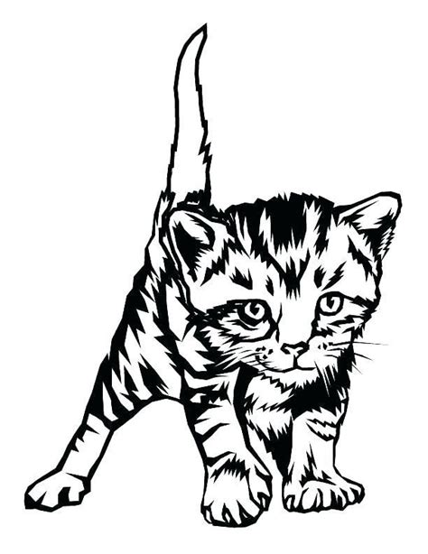 Realistic Cat Coloring Pages Tabby Cat Coloring Pages At