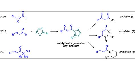 On The Mechanism Of N Heterocyclic Carbene Catalyzed Reactions