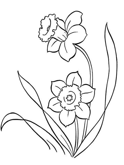 Flores – dibujos infantiles para colorear, para niños y niñas