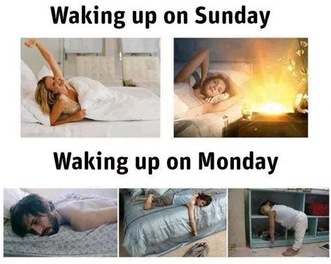 Pinterest Funny Pictures Relatable Post Funny Daylight Savings Time