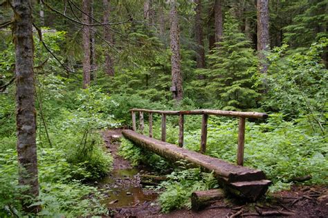 Filemultnomah Creek Footbridge Larch Mountain Hiking In