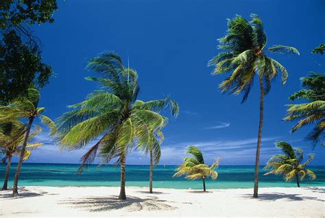 Our service is powered by western union. HOLGUIN TOURS | ATTRACTIONS | RESTAURANTS - Cuba Tours ...