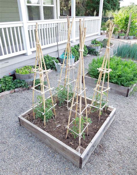Bamboo Tomato Cage Vegetable Garden Trellis Backyard Vegetable